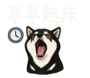 843335262