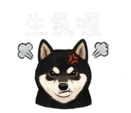 843335263