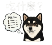 843335265