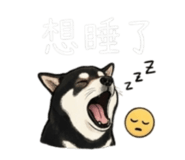 843335266