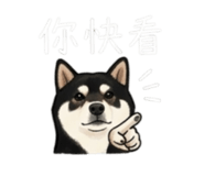 843335268