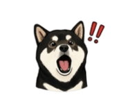 843335269