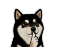 843335272