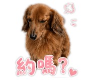 843335273