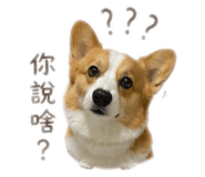 843335436
