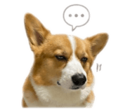 843335439