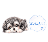843335740