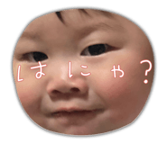 843336075