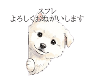 843336158
