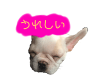 843336207