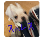 843336209