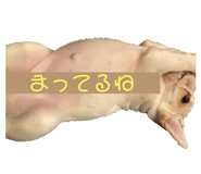 843336211