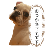 843336219