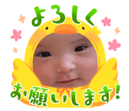 843336573