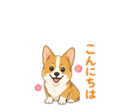 843337379