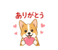 843337381