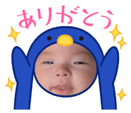 843337445