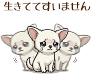843337677