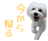 843337787