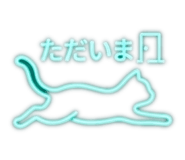 843337804