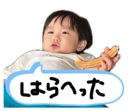 843337946