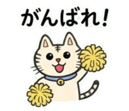 843337982