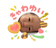 843338050