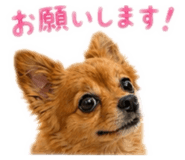 843338085