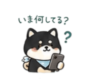 843338202