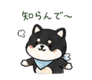 843338203