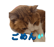 843338228