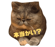 843338229