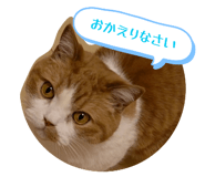 843338232
