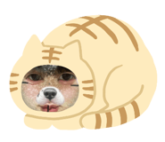 843338331