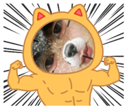 843338334