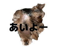 843338370