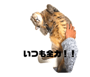 843338413