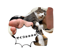 843338414