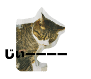 843338419