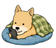 843338485