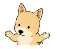 843338498