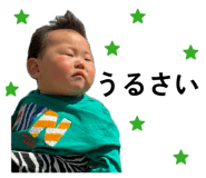 843338555