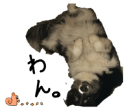 843338789