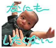 843338851