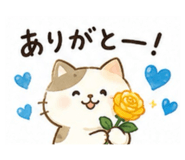 843338998