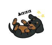 843339085