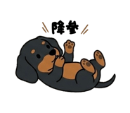 843339099