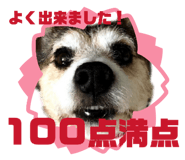 843339141