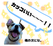 843339150
