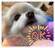 843339180